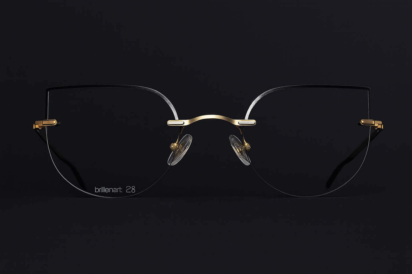 Brillenart 28