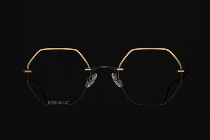 Brillenart 27