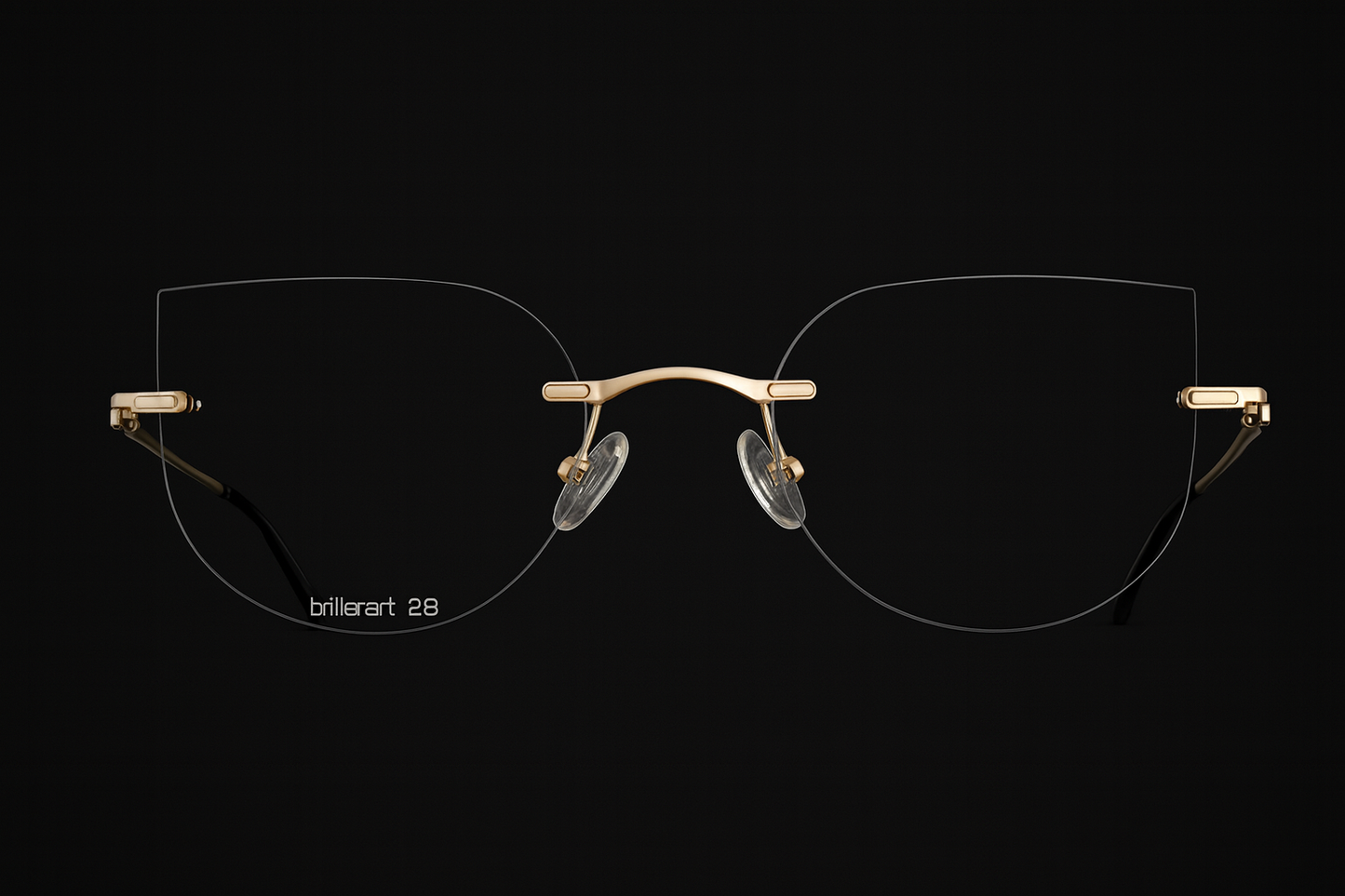 Brillenart 28