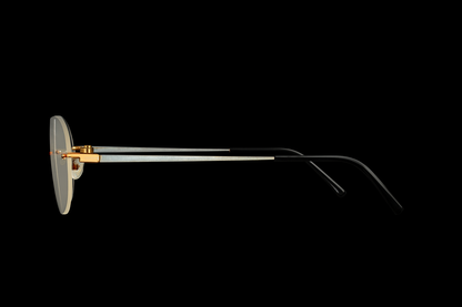 Brillenart 26