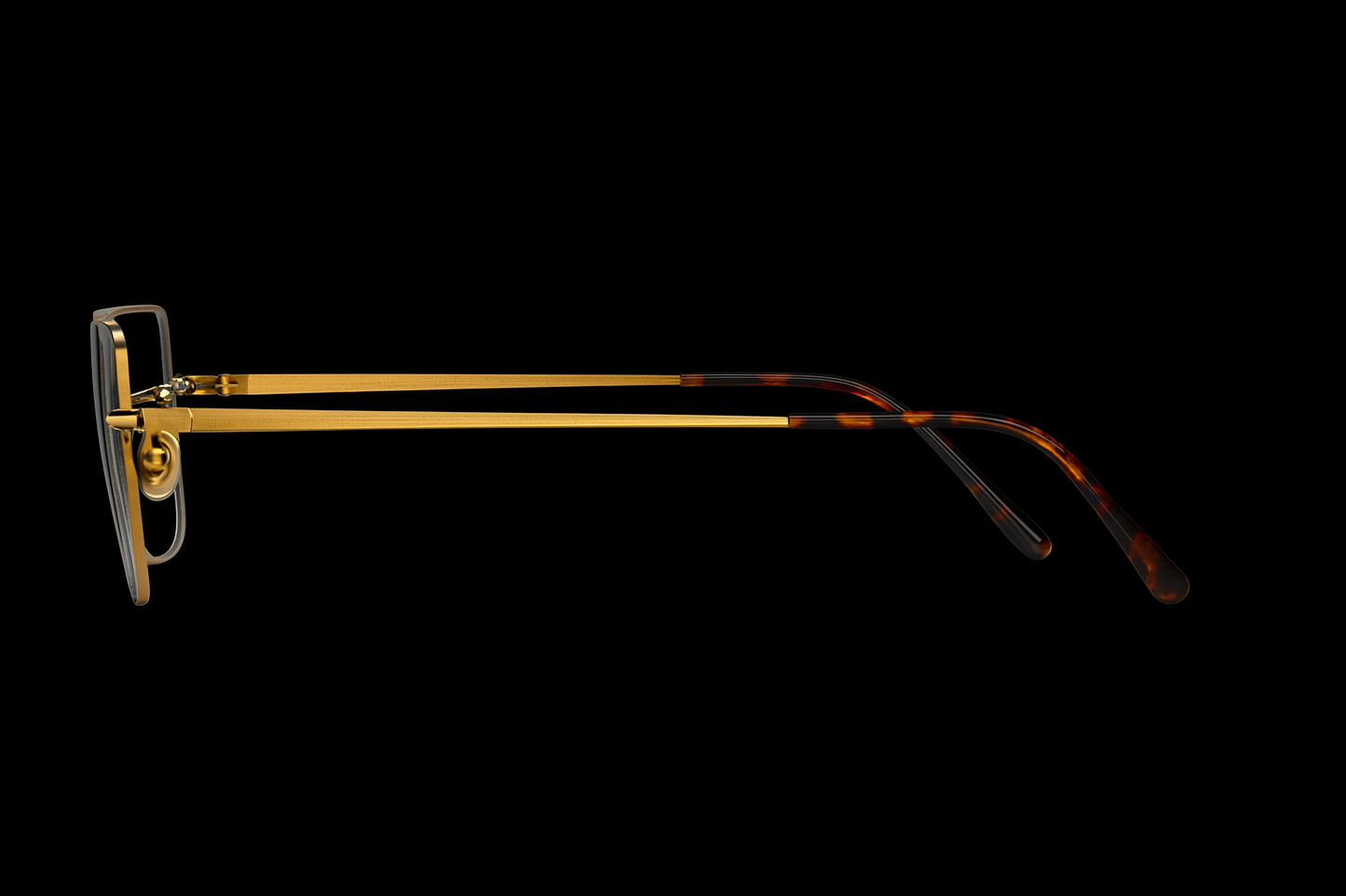 Brillenart 28